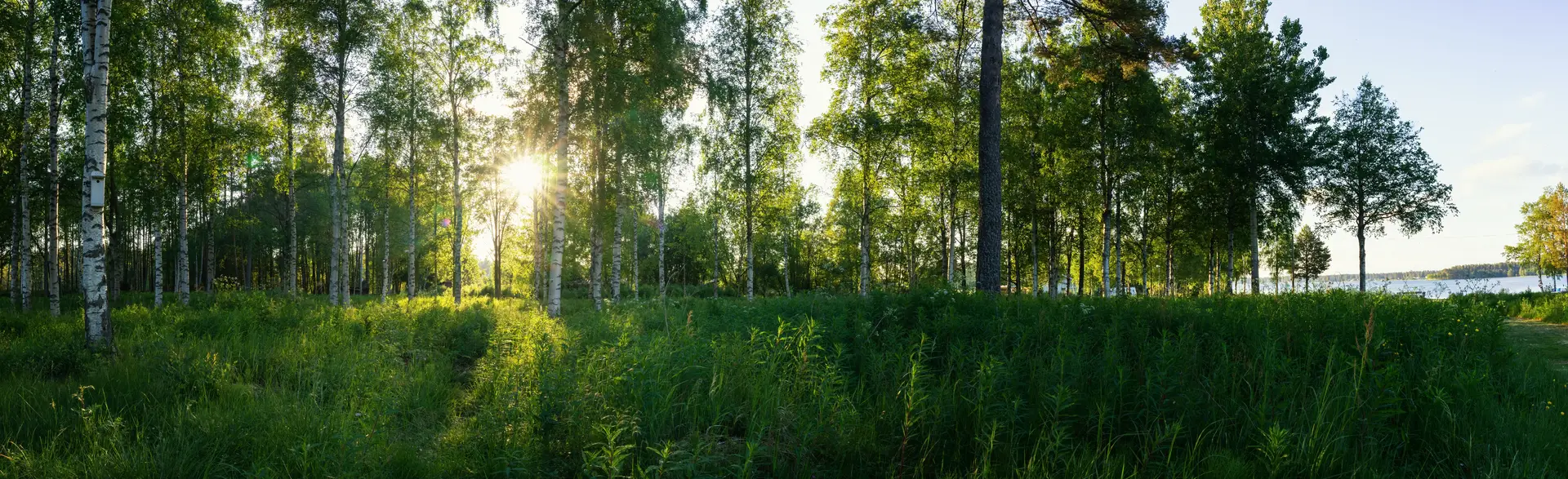 Byta FTX-aggregat Bollnäs